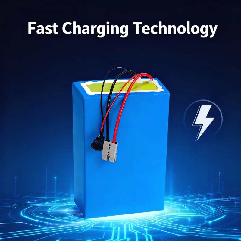 BMS 72V 리튬이온 배터리 팩 20Ah/30Ah/5 - Electric Bicycle Battery 72V 30Ah 리뷰 및 가격