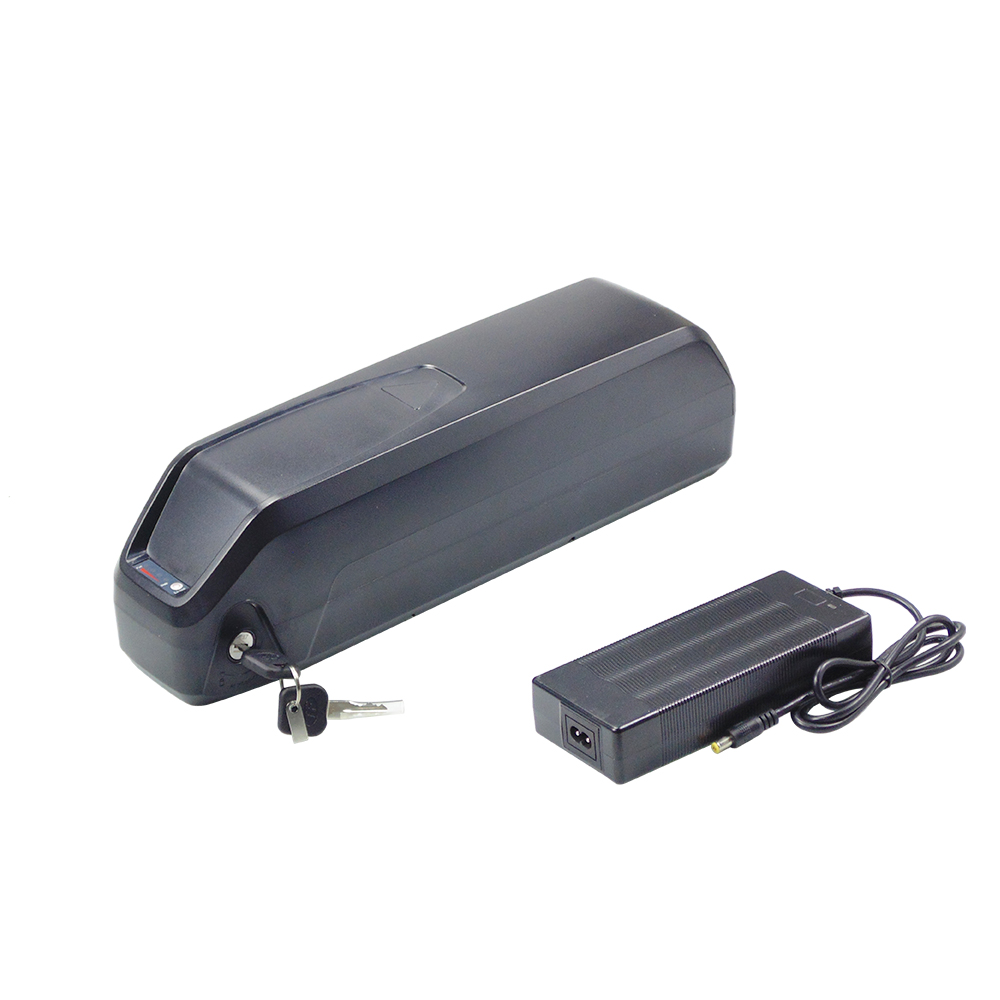 Hailong 48V 13Ah 15Ah 17.5Ah 전 - Ebike Battery 48V 20Ah Hailong 리뷰 및 가격